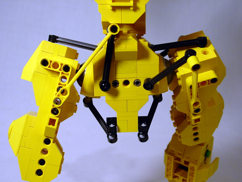 ds-04-rear.jpg