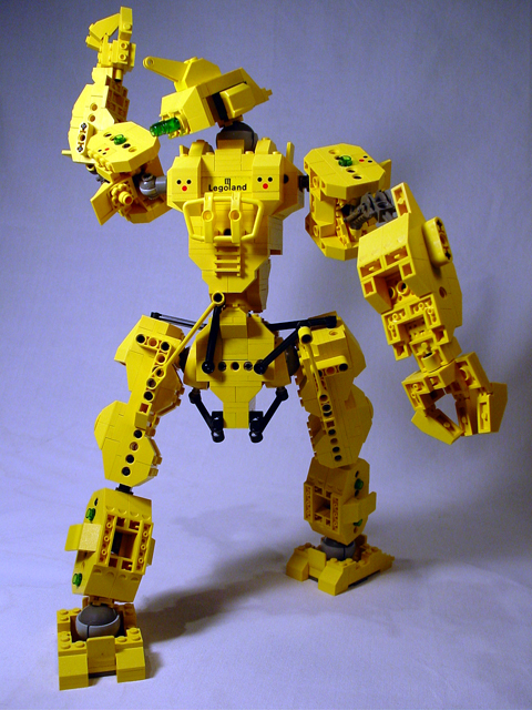 ds-06-rear.jpg