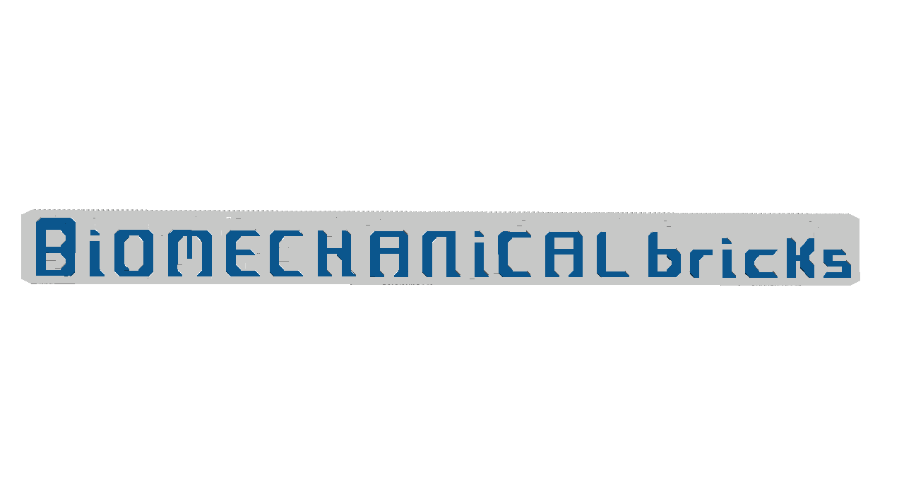 z-biomechanical-bricks-ldd-2009.png