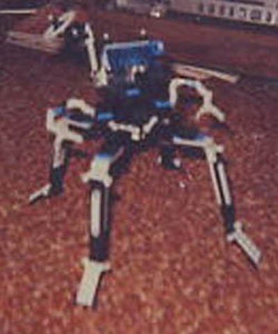 ambu-quad1.jpg