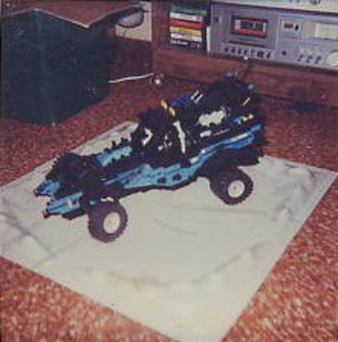 buggything1.jpg