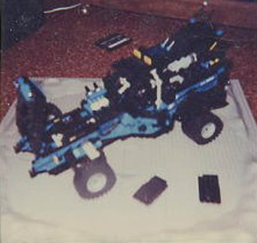 buggything2.jpg