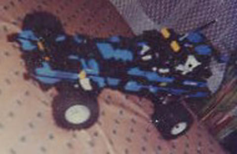 rally-buggy.jpg
