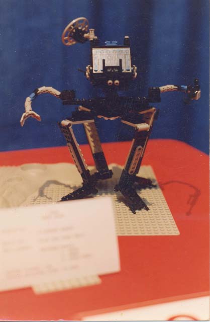 zambuquad1.jpg