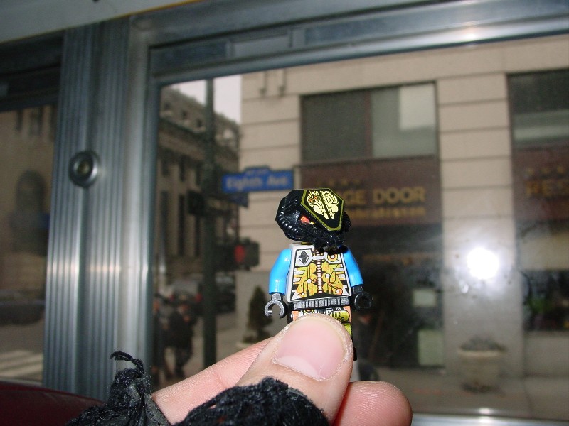 dsc01395.jpg
