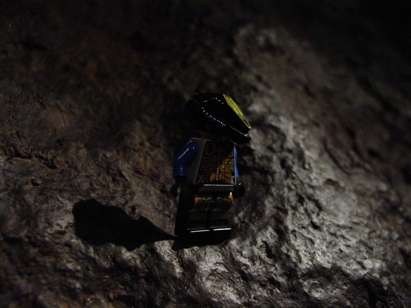 dsc01430.jpg