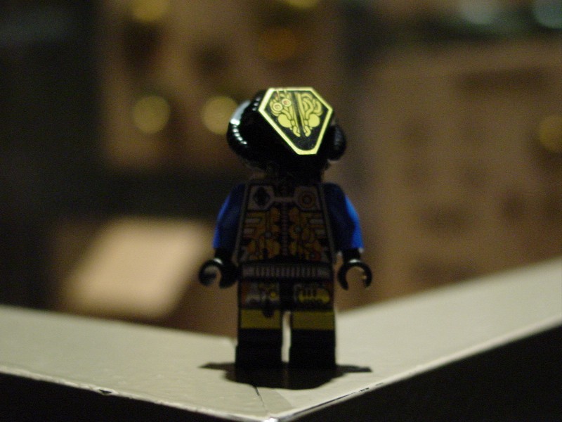 dsc01444.jpg