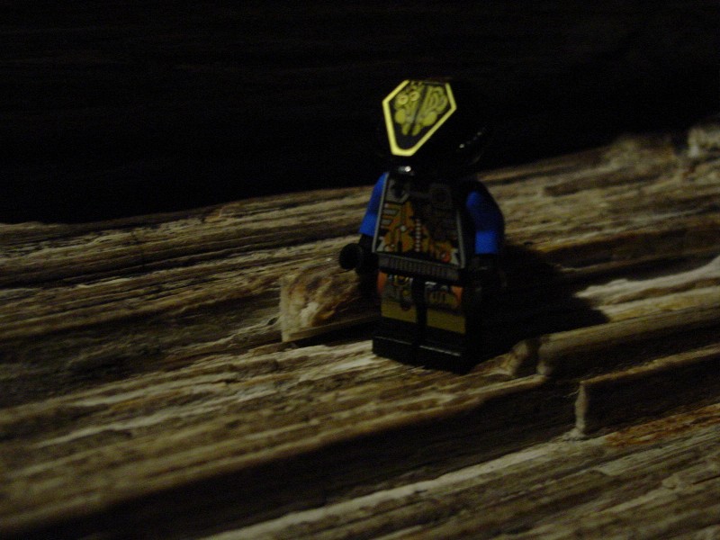 dsc01459.jpg
