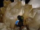 dsc01434.jpg