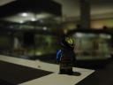 dsc01446.jpg