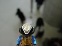 dsc01483.jpg