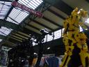 june5-rr-lsp19.jpg