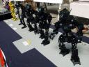 june5-rr-lsp4.jpg