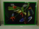 dsc05160.jpg