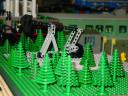 dsc05213.jpg
