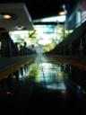 dsc00738.jpg