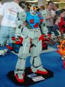 dsc00855.jpg