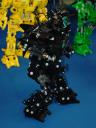 dsc00868.jpg