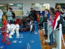 dsc00916.jpg