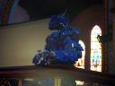 dsc00081.jpg