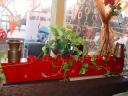 dsc03320.jpg