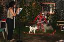 dsc03357.jpg