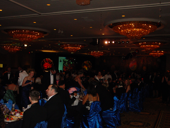 dsc06842.jpg