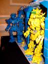 dsc06805.jpg