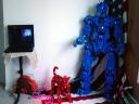 dsc08167.jpg