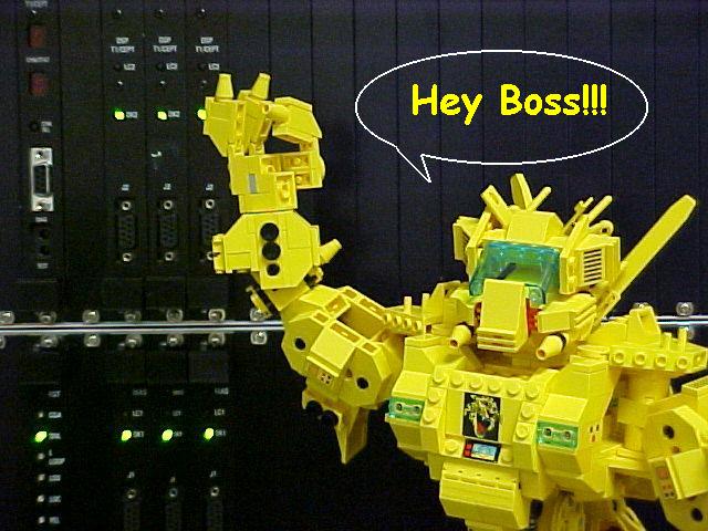 zheyboss.jpg