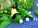 dsc03942.jpg