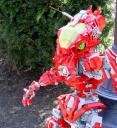 dsc01737.jpg