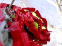 dsc01742.jpg