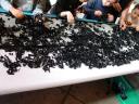 dsc00198.jpg
