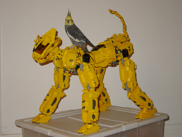 my-quadra-1.jpg