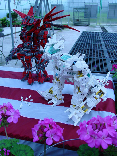 dsc03734.jpg
