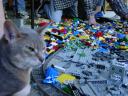 dsc02670.jpg
