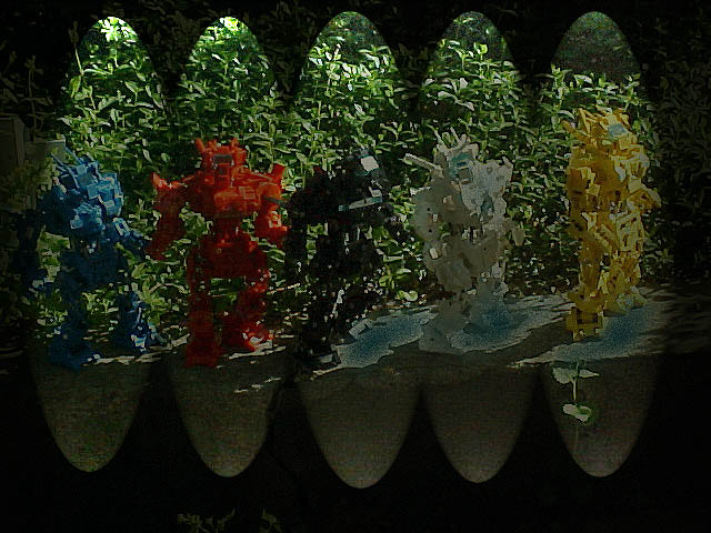 1lb-trading-cards.jpg