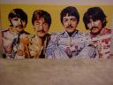 beetles-mossaic.jpg