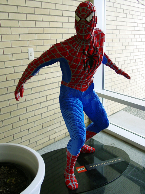 dsc09518.jpg