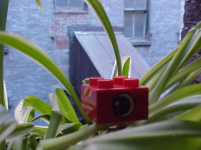 found-in-la1.jpg