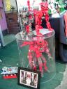 pict0058.jpg
