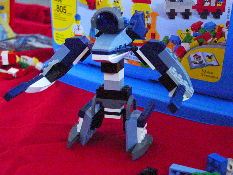dsc00793.jpg