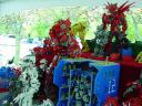 dsc00742.jpg