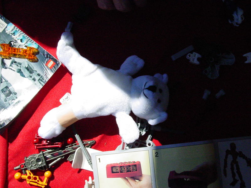 dsc00814.jpg