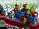 dsc00800.jpg