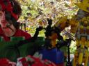 dsc00841.jpg
