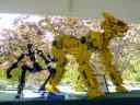 dsc03297.jpg