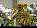 dsc03307.jpg