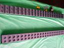 dsc03366.jpg